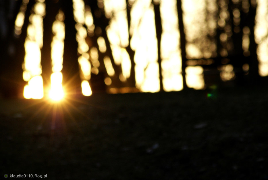 światłość W Ciemności świeci Fotoblog Klaudia0110flogpl